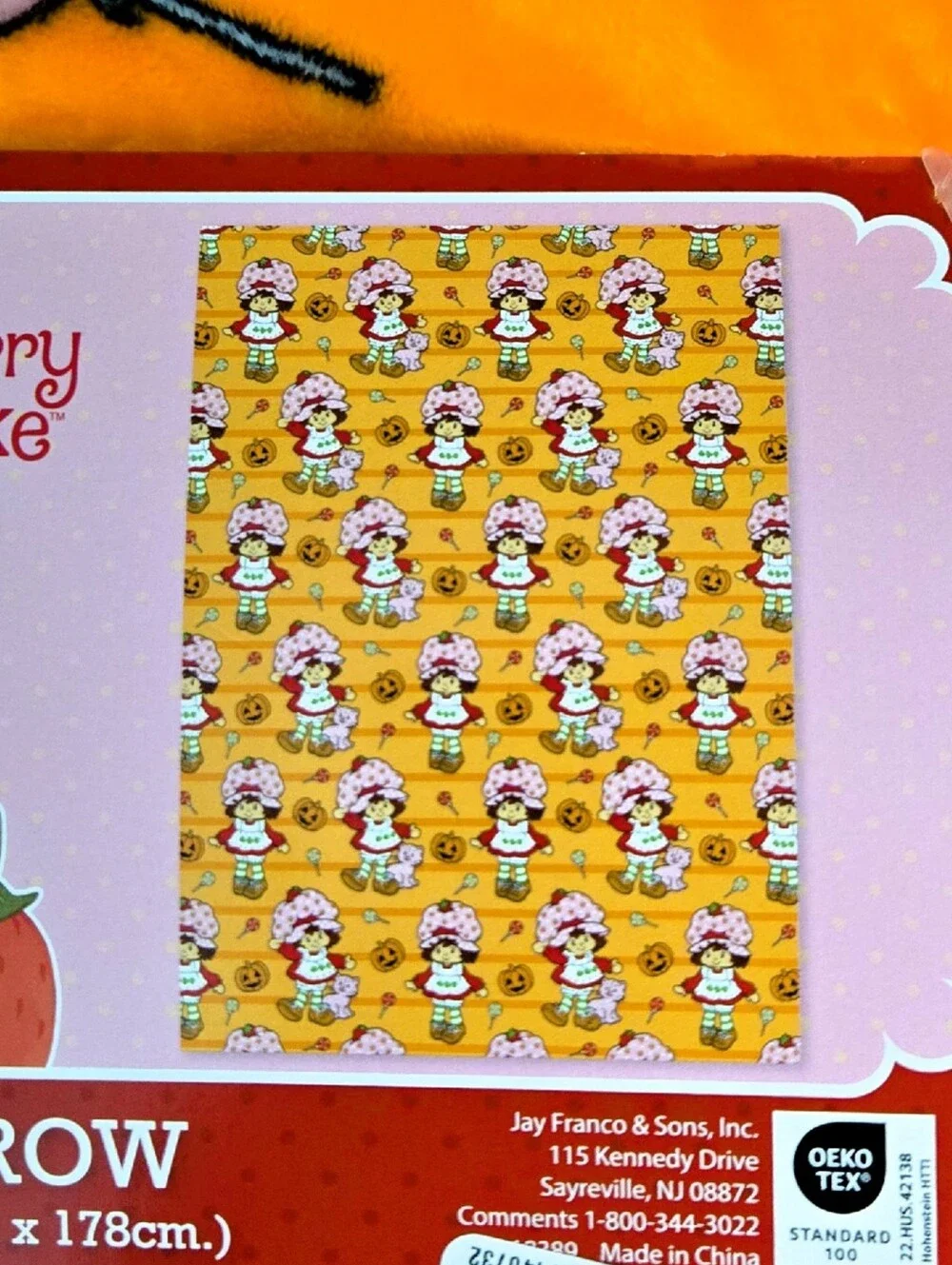 Strawberry Shortcake and Custard Halloween Plush Pumpkin Throw Blanket